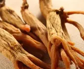 Hồng sâm có tác dụng gì? Những ai không nên dùng hồng sâm?