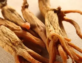 Hồng sâm có tác dụng gì? Những ai không nên dùng hồng sâm?