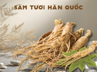 Cách chọn sâm tươi Hàn Quốc chất lượng
