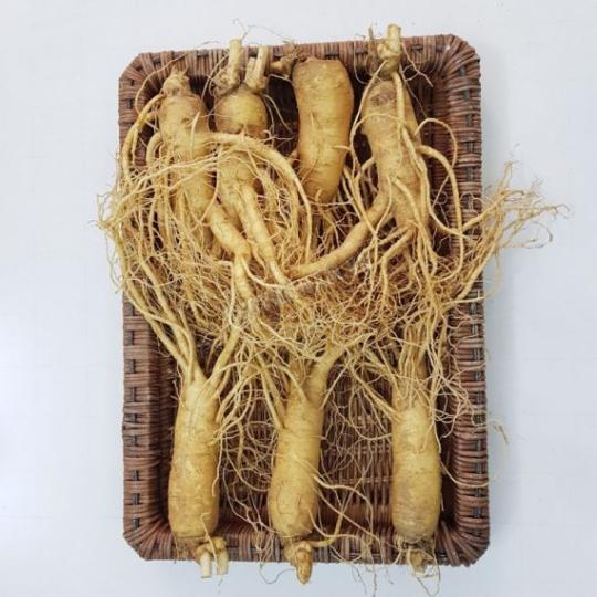 Sâm tươi Hàn Quốc  6 năm tuổi (7 củ/kg)