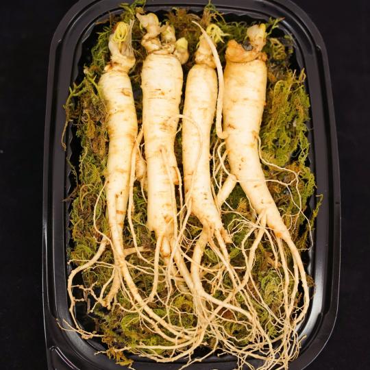 Củ sâm tươi Hàn Quốc 150g