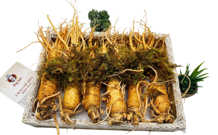 Sâm Tươi Hàn Quốc Ông Lee 6 Năm Tuổi Loại 2 (6 Củ/Kg) Chàm Vết Gãy Rễ