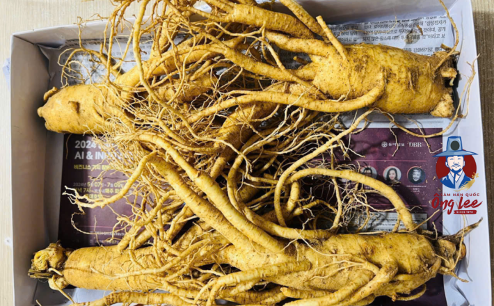 Sâm Tươi Hàn Quốc Ông Lee 6 Năm Tuổi Loại 1 (4 Củ/Kg)