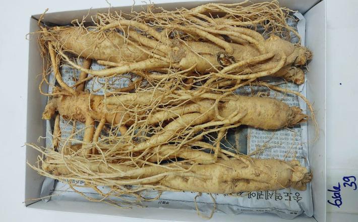 Sâm Tươi Hàn Quốc Ông Lee 6 Năm Tuổi Loại 2 (6 Củ/Kg) Chàm Vết Gãy Rễ