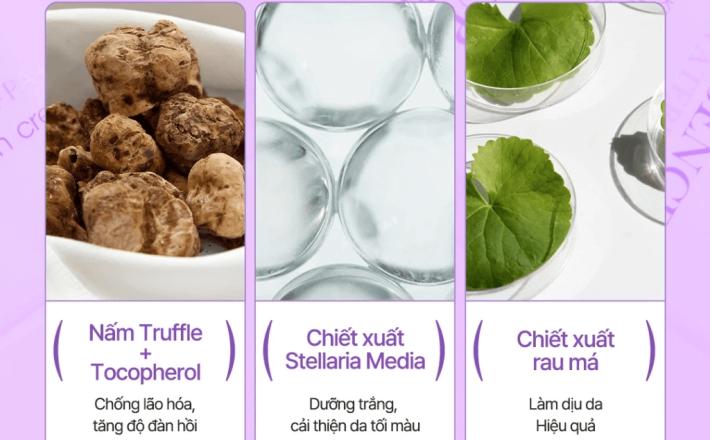 Kem chống nắng trắng d 'Alba Truffle Tone Up Purple 50ml