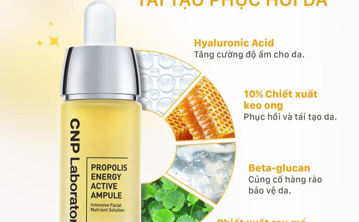 Tinh Chất Keo Ong Tái Tạo Phục Hồi Da CNP Laboratory Propolis Energy Ampule 15ml