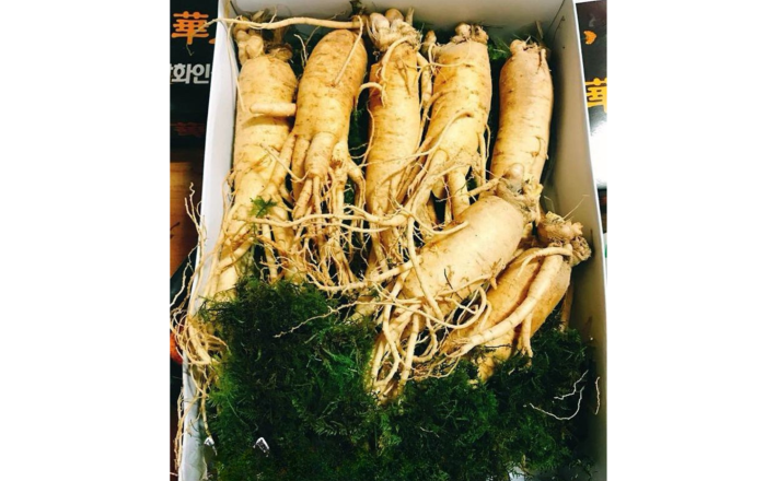 Sâm tươi Hàn Quốc  6 năm tuổi (7 củ/kg)
