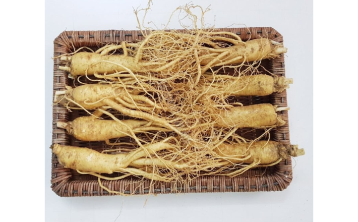Sâm tươi Hàn Quốc  6 năm tuổi (8 củ/kg)
