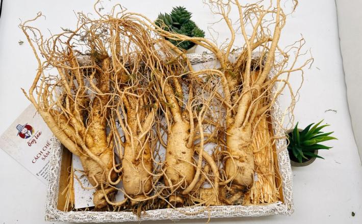Sâm Tươi Hàn Quốc Ông Lee 6 Năm Tuổi Loại 1 (4 Củ/Kg)