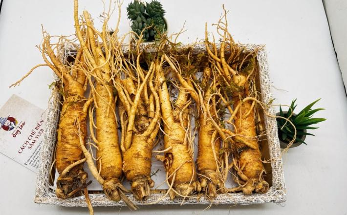 Sâm Tươi Hàn Quốc Ông Lee 6 Năm Tuổi Loại 2 (6 Củ/Kg) Chàm Vết Gãy Rễ