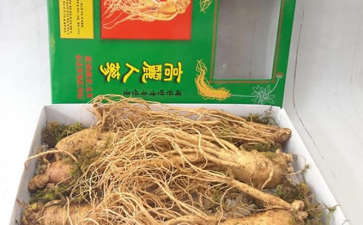 Củ sâm tươi Hàn Quốc 6 năm tuổi_1kg ( 6 củ/kg)