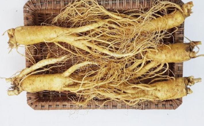 sâm tươi Hàn Quốc 6 năm tuổi (5 củ/kg)