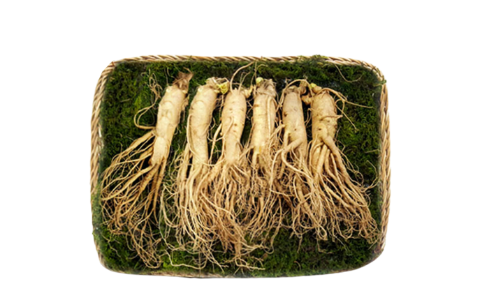 Củ sâm tươi Hàn Quốc 6 năm tuổi _500g ( 6 củ/kg)