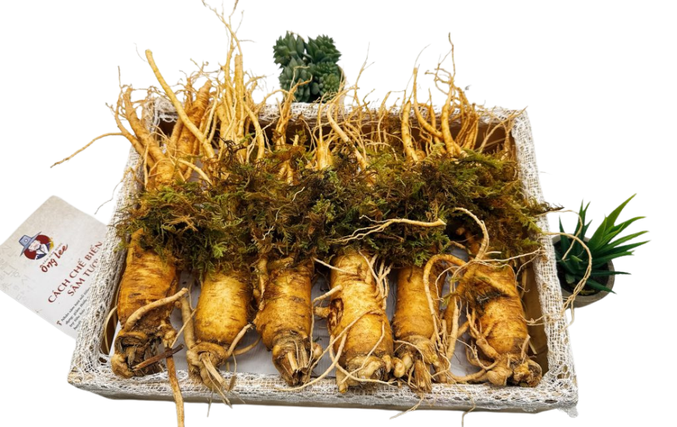 Sâm Tươi Hàn Quốc Ông Lee 6 Năm Tuổi Loại 2 (6 Củ/Kg) Chàm Vết Gãy Rễ