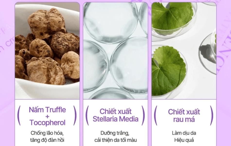 Kem chống nắng trắng d 'Alba Truffle Tone Up Purple 50ml