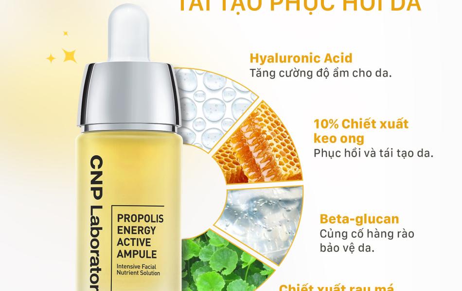 Tinh Chất Keo Ong Tái Tạo Phục Hồi Da CNP Laboratory Propolis Energy Ampule 15ml