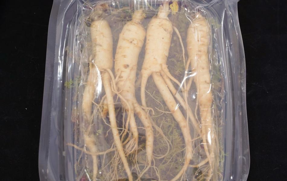 Củ sâm tươi Hàn Quốc 150g