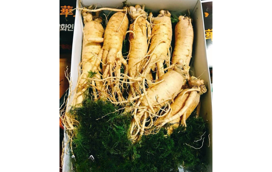 Sâm tươi Hàn Quốc  6 năm tuổi (7 củ/kg)