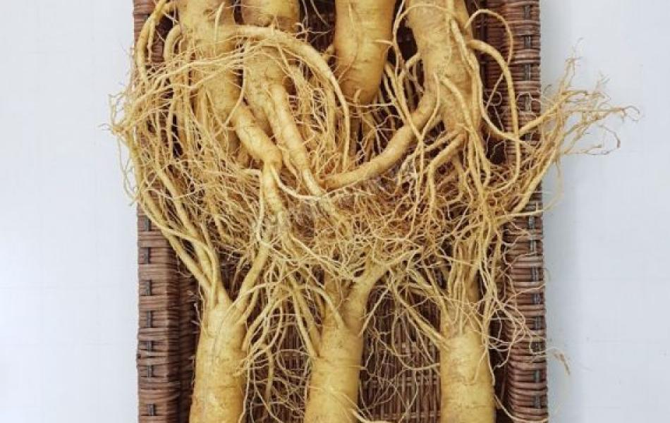 Sâm tươi Hàn Quốc  6 năm tuổi (7 củ/kg)
