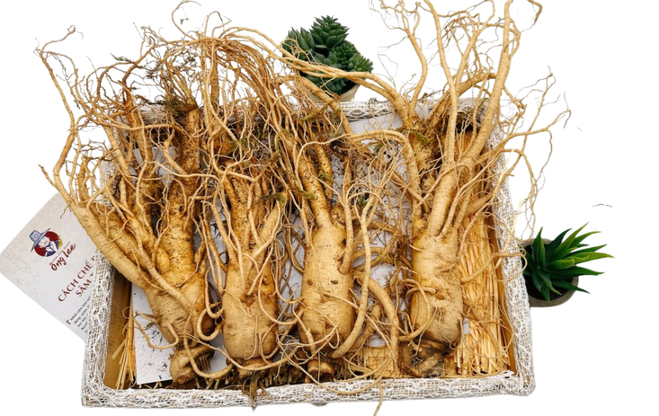 Sâm Tươi Hàn Quốc Ông Lee 6 Năm Tuổi Loại 1 (4 Củ/Kg)