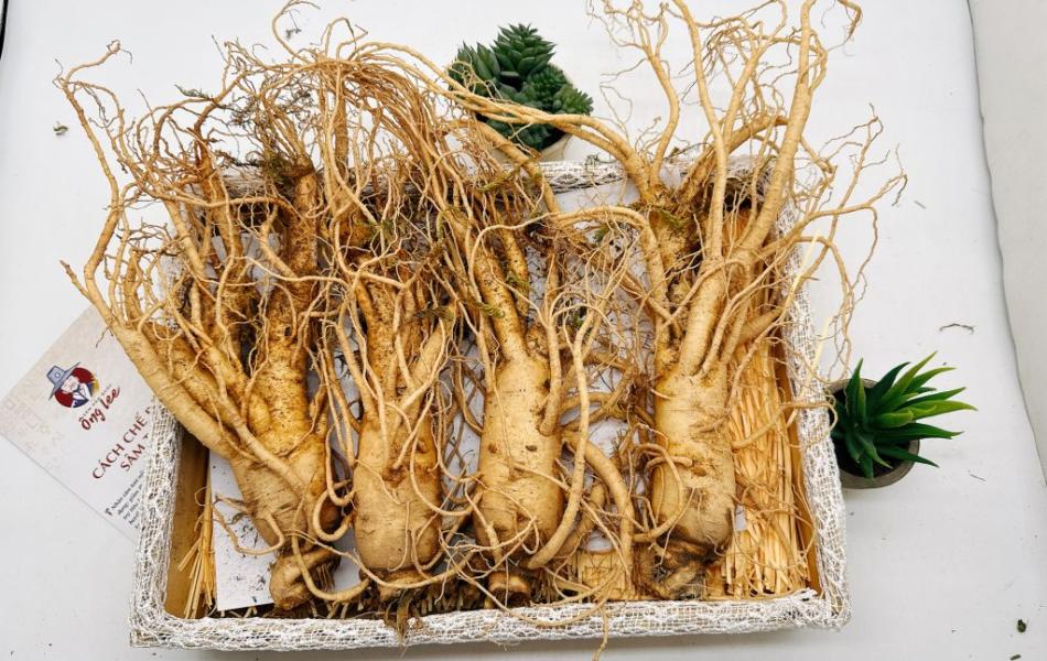 Sâm Tươi Hàn Quốc Ông Lee 6 Năm Tuổi Loại 1 (4 Củ/Kg)