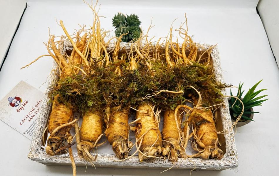 Sâm Tươi Hàn Quốc Ông Lee 6 Năm Tuổi Loại 2 (6 Củ/Kg) Chàm Vết Gãy Rễ