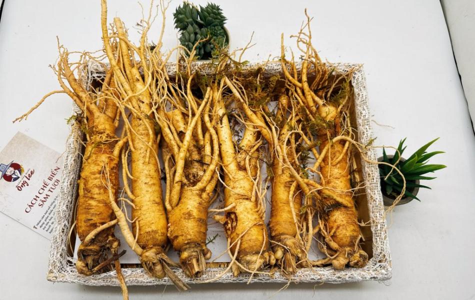 Sâm Tươi Hàn Quốc Ông Lee 6 Năm Tuổi Loại 2 (6 Củ/Kg) Chàm Vết Gãy Rễ