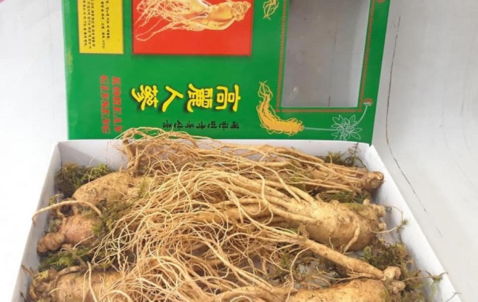 Củ sâm tươi Hàn Quốc 6 năm tuổi_1kg ( 6 củ/kg)
