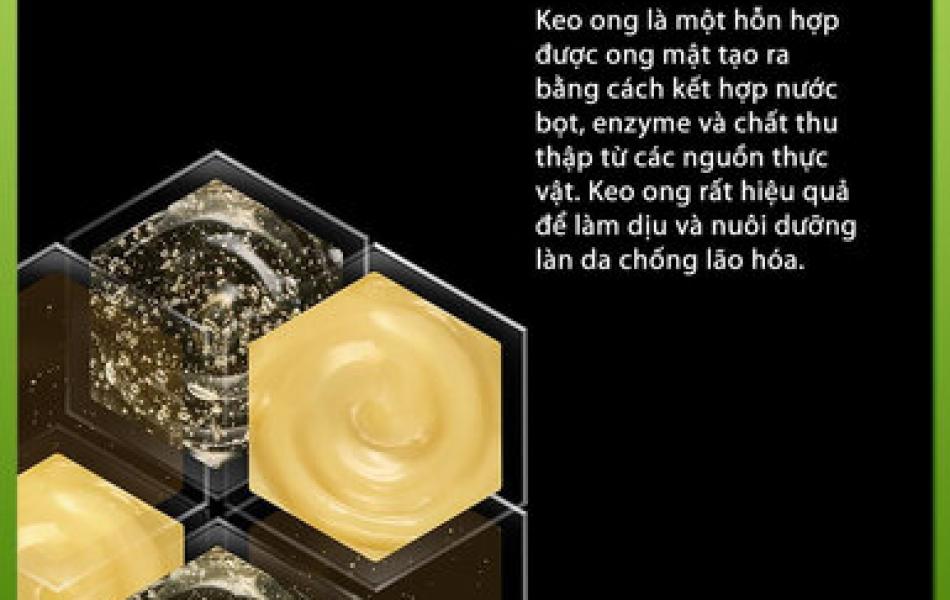 Xịt khoáng tinh chất keo ong tái tạo da CNP Laboratory Propolis Energy Ampule Mist 50ml
